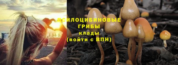 мескалин Няндома