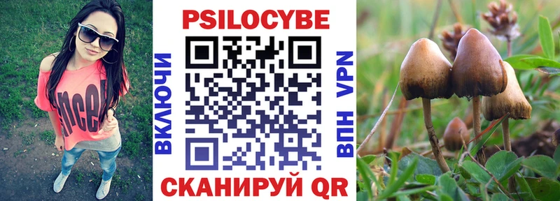 Псилоцибиновые грибы Psilocybine cubensis  omg вход  Луга  наркотики 