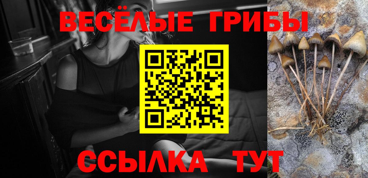 Амфетамин Луга