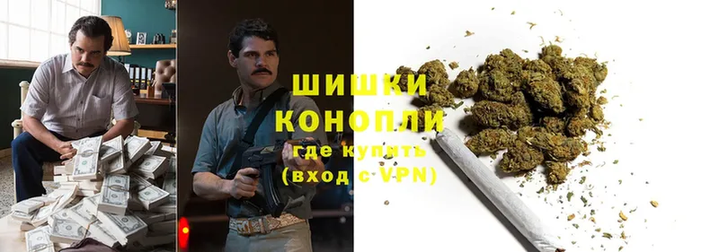 Каннабис SATIVA & INDICA  Луга 